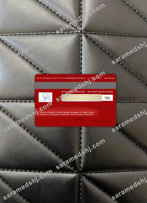 Bahamas Scotia bank visa card photolook back